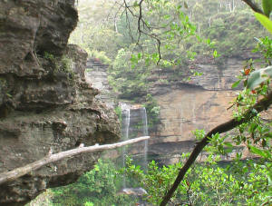 Blue Mountains Australia tour - Rainforest & waterfalls 